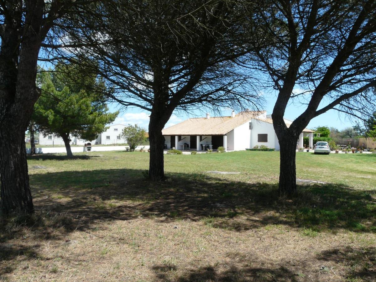 Mas Du Clos De La Barque Saintes-Maries-de-la-Mer Eksteriør billede