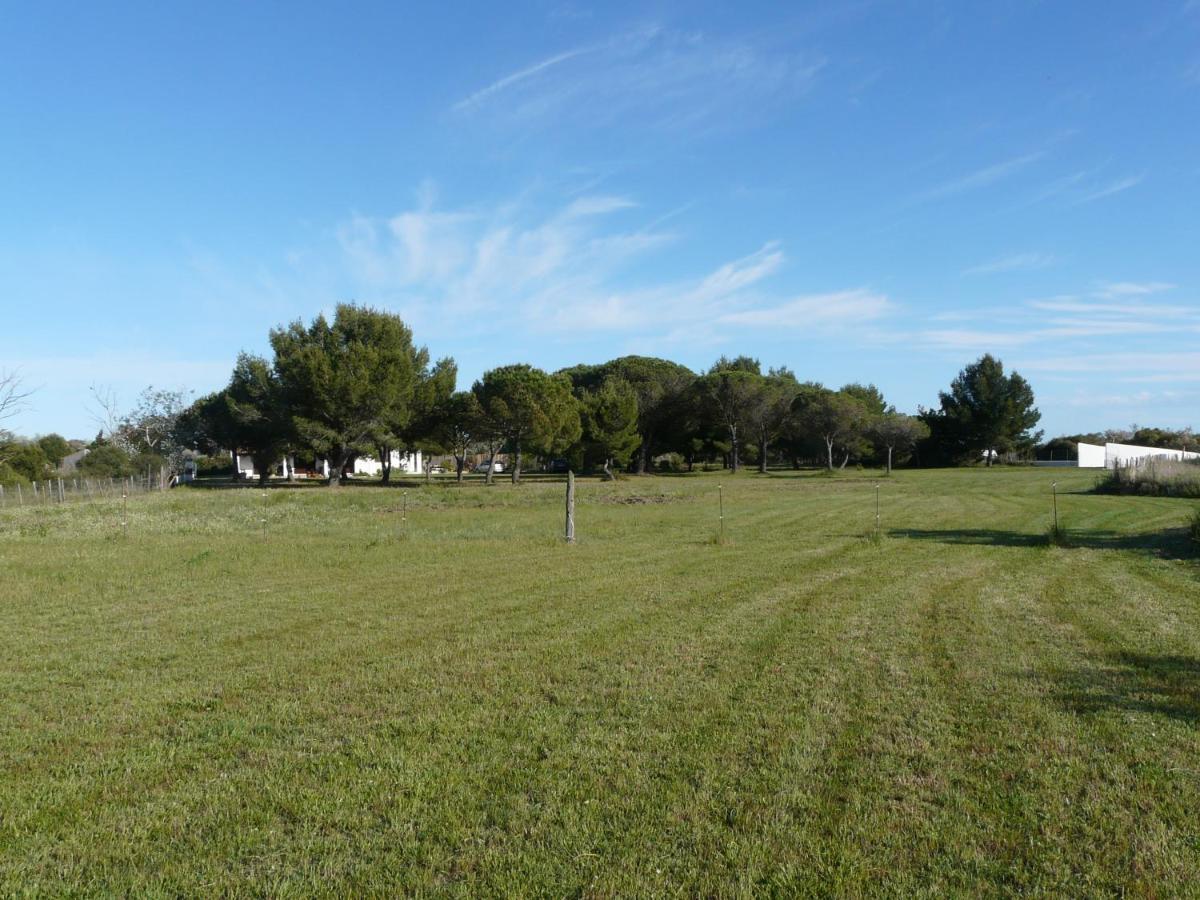 Mas Du Clos De La Barque Saintes-Maries-de-la-Mer Eksteriør billede