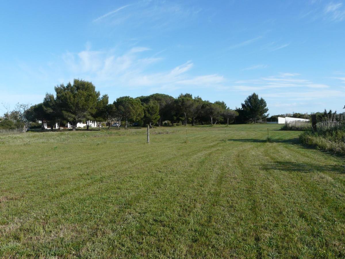 Mas Du Clos De La Barque Saintes-Maries-de-la-Mer Eksteriør billede