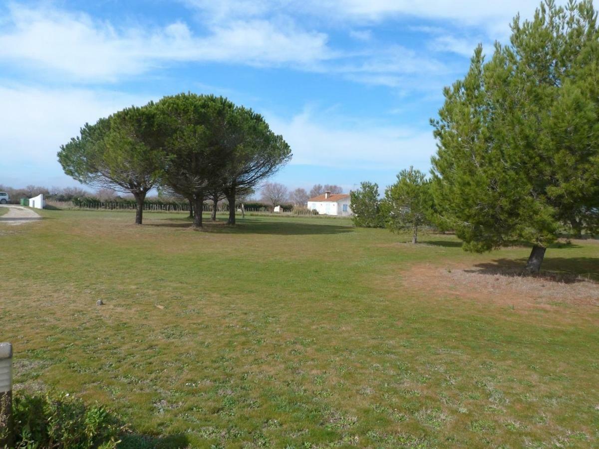 Mas Du Clos De La Barque Saintes-Maries-de-la-Mer Eksteriør billede